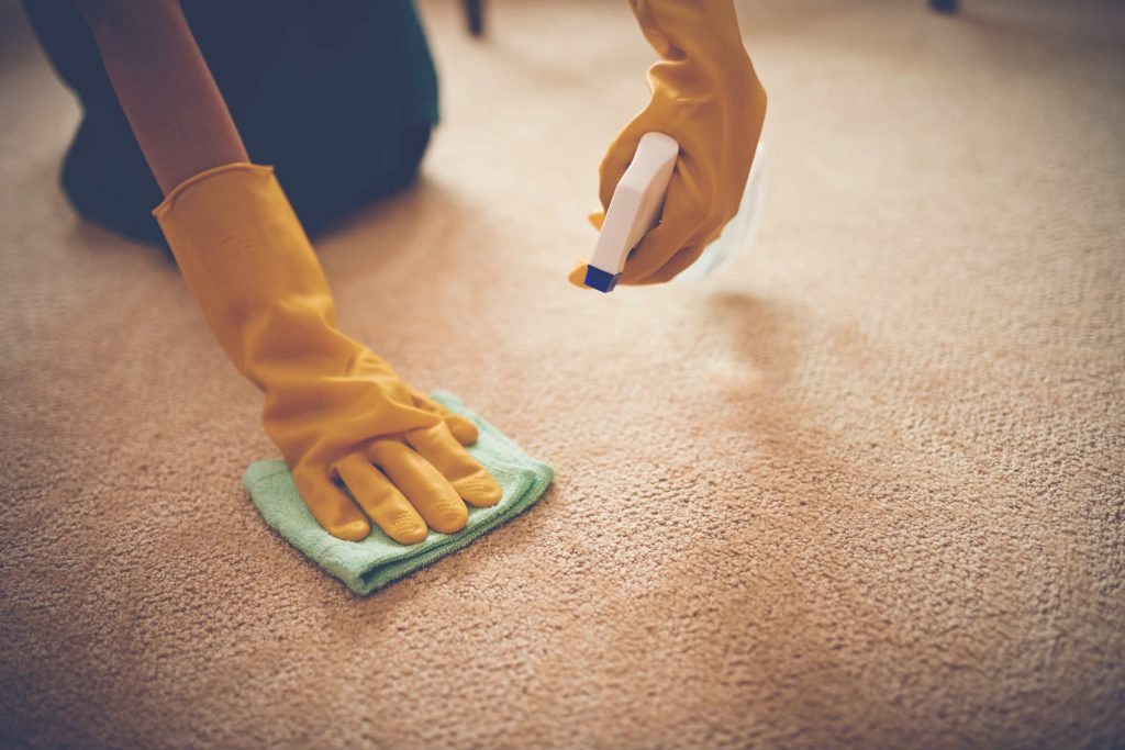Reliable Carpet Cleaner In Chattanooga Tn 37416